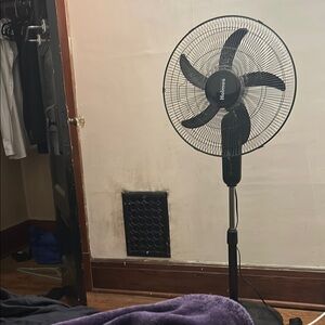 Holmes Black Oscillating Fan